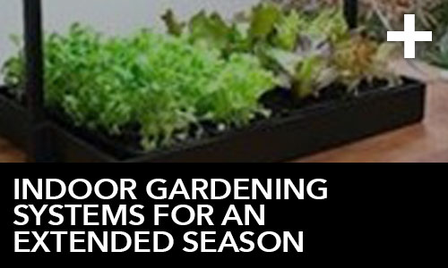 htg-info-center-ask-the-doc-articles-indoor-gardening-systems-for-an-extended-season-thumbnail
