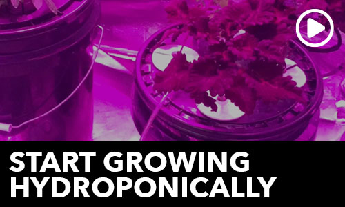 htg-info-center-ask-the-doc-start-growing-hydroponically-thumbnail