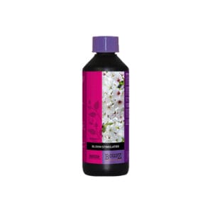 B'cuzz Bloom Stimulator - 16.9oz / 500ml