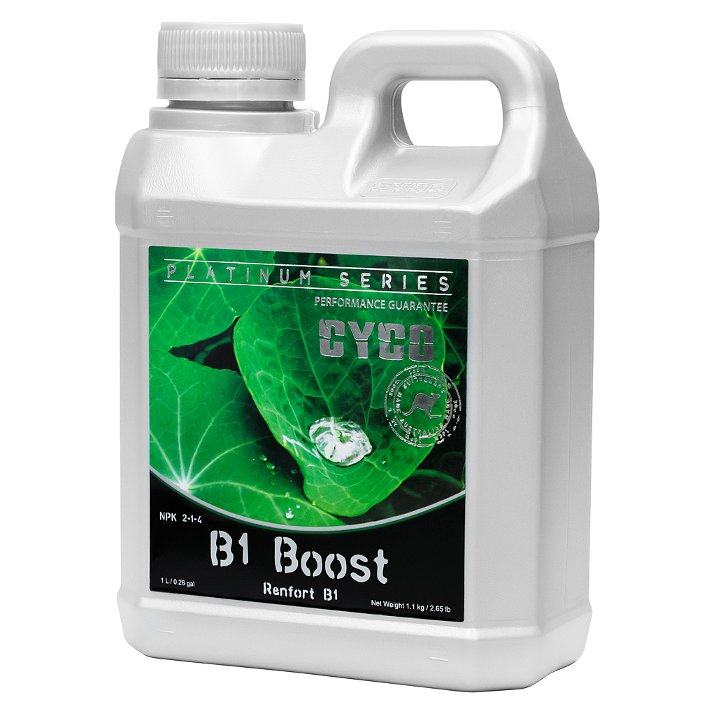 Cyco B1 Boost