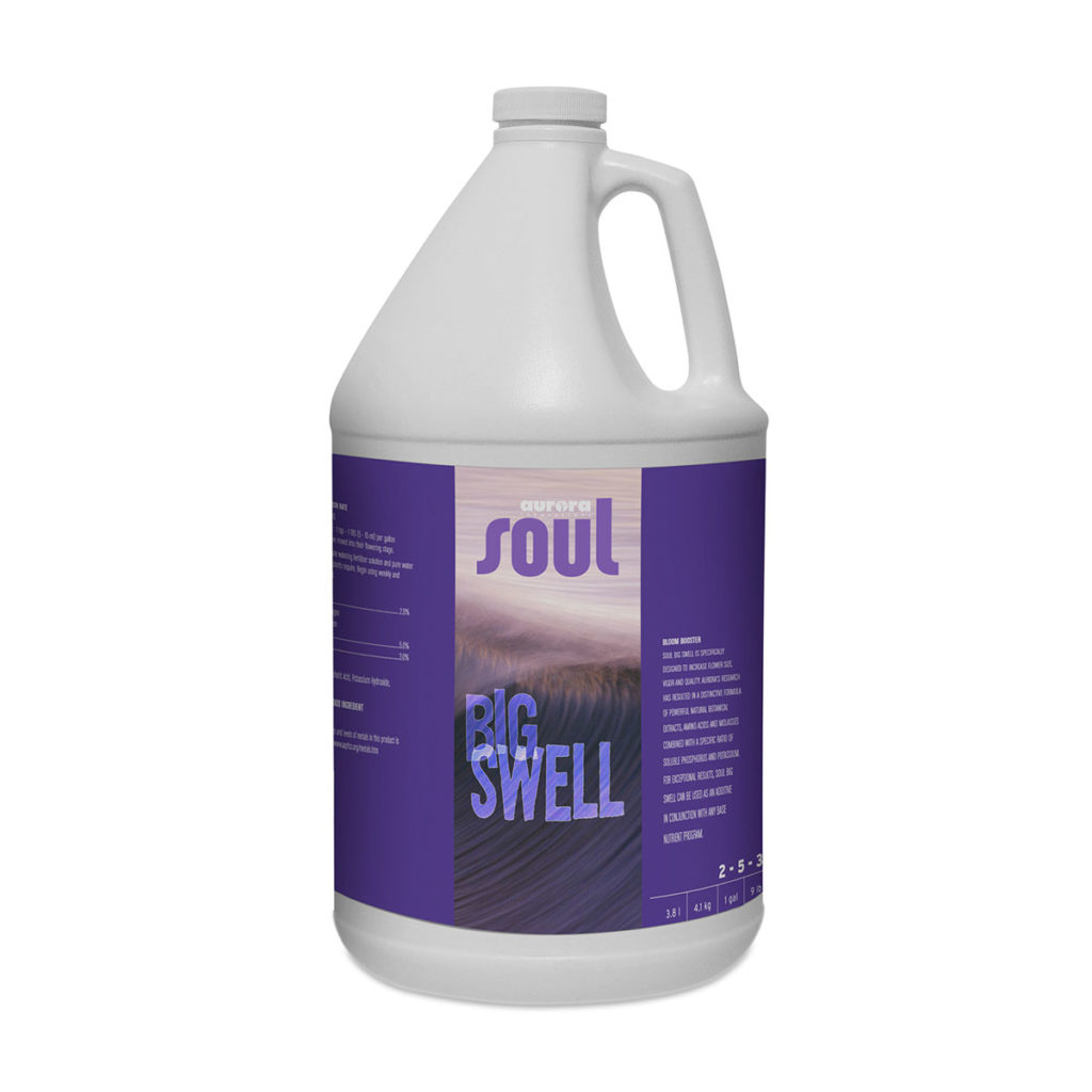 Aurora Soul Big Swell 1 Gallon