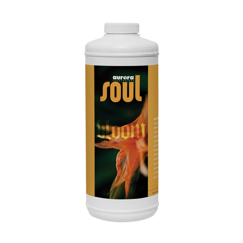 Aurora Soul Bloom 1 Quart