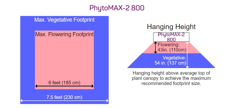 Black Dog Phytomax 2 800 Coverage