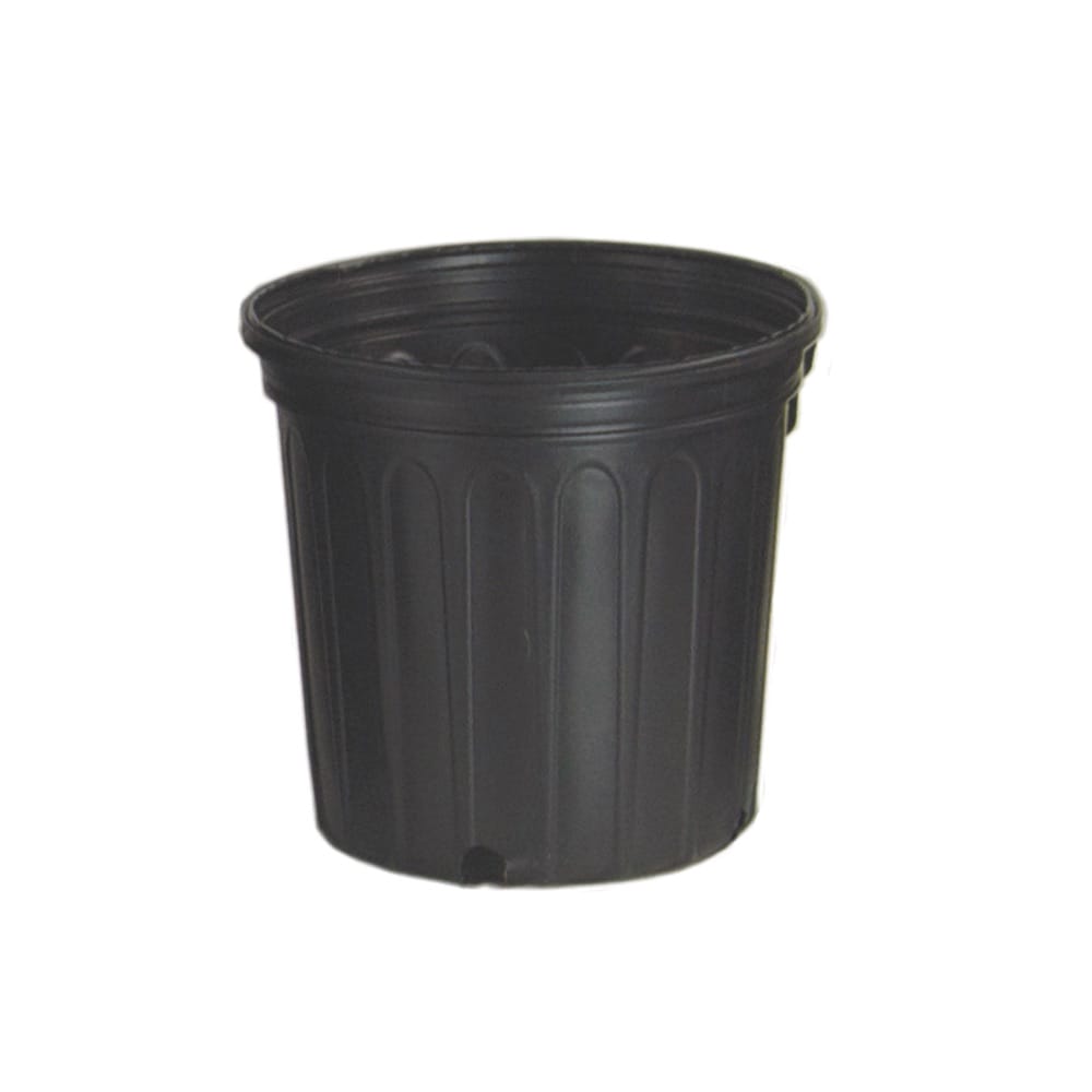 Nursery Pot 2Gal