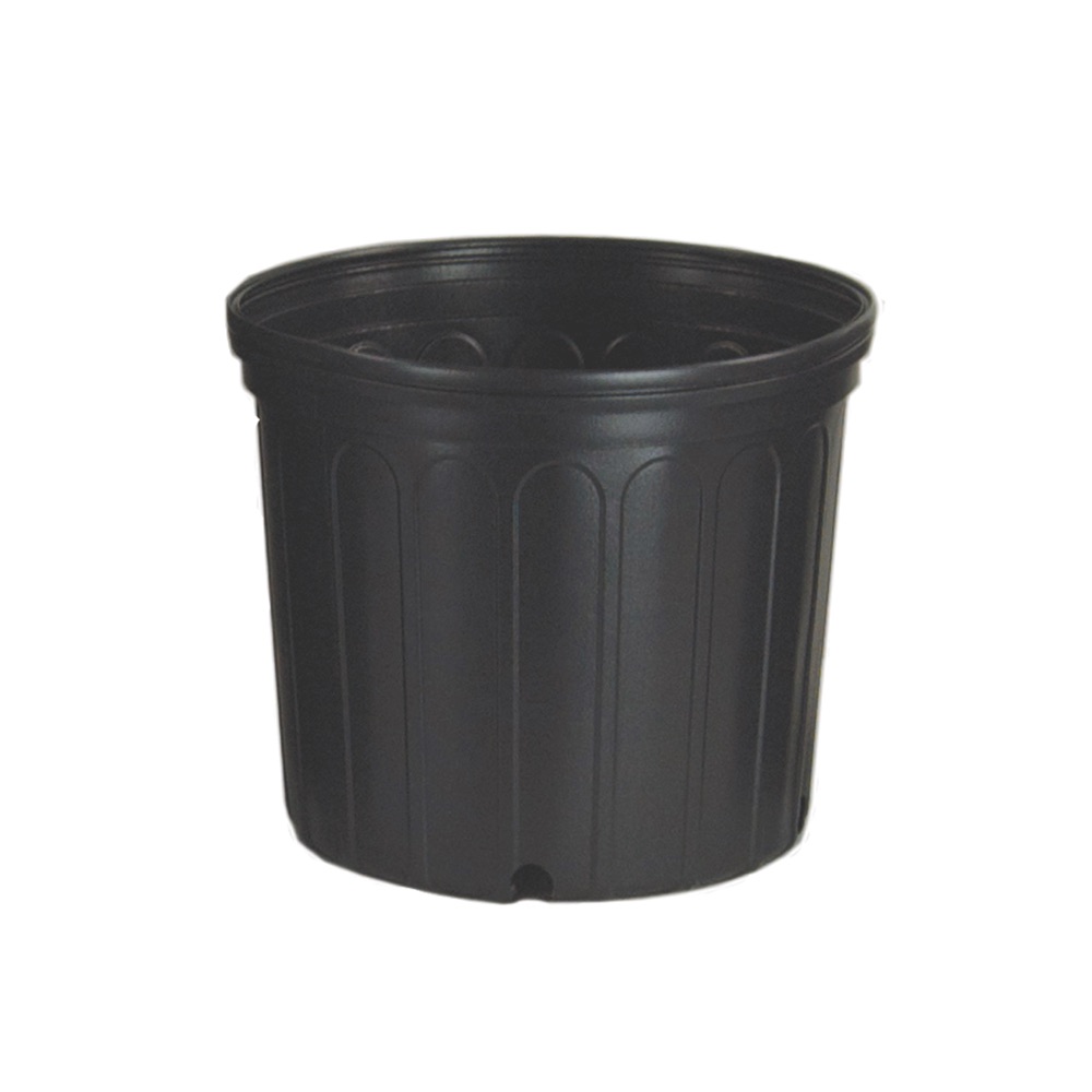 Nursery Pot 3Gal
