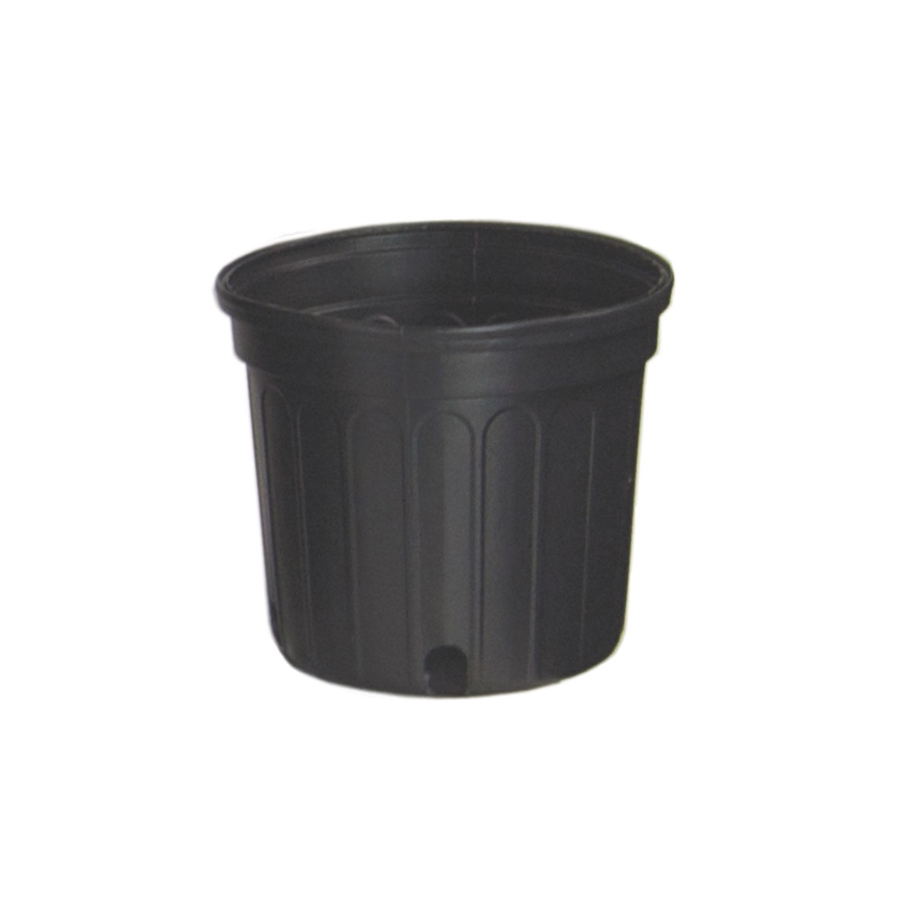 Nursery Pot Gal