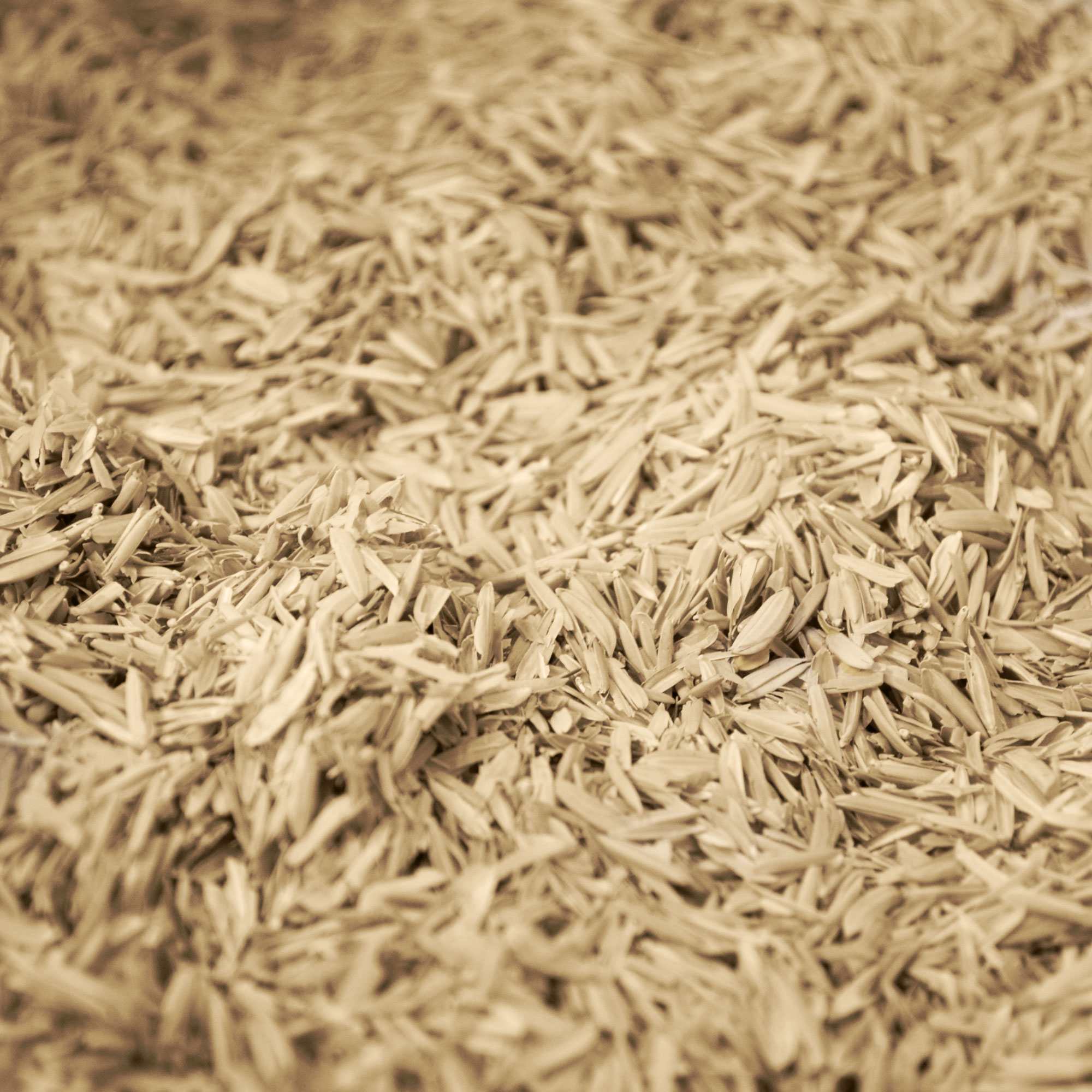 Orgmech Ricehulls2