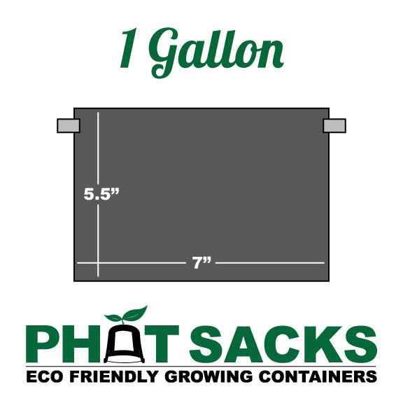 Phat Sack Dimensions 1 Gallon