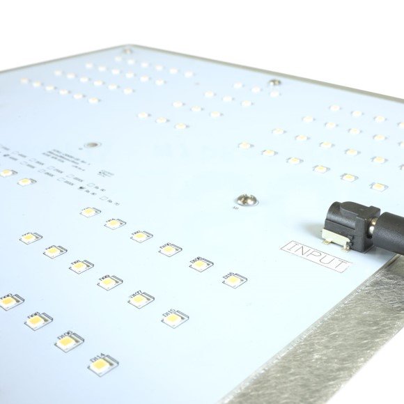 Raw 65 Conformal Coating