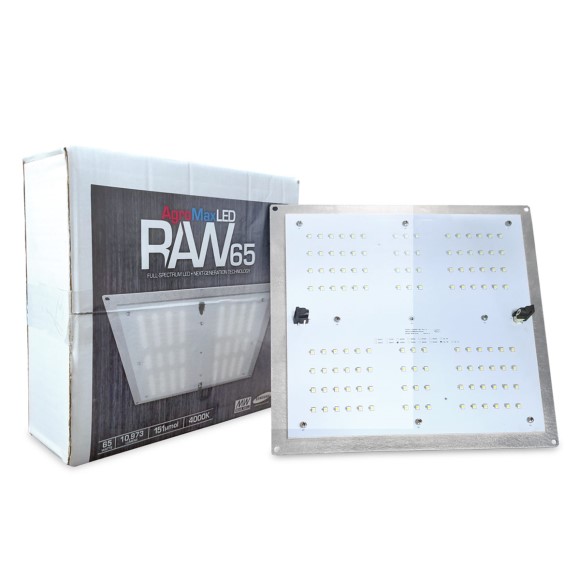 Raw 65 In Box