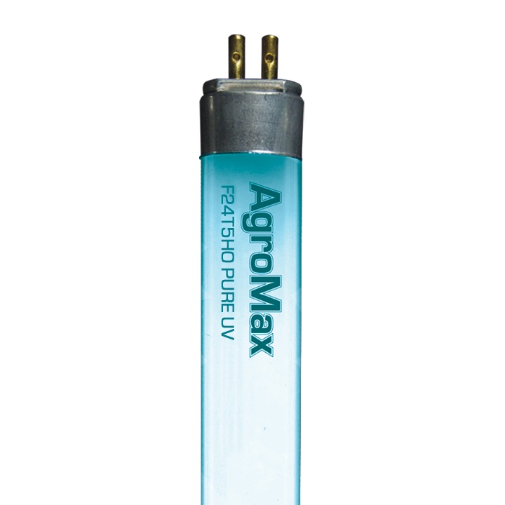 T5 Pureuv 24