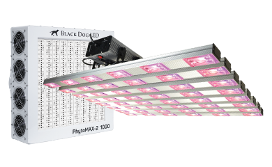 Commercial LED Grow Lights