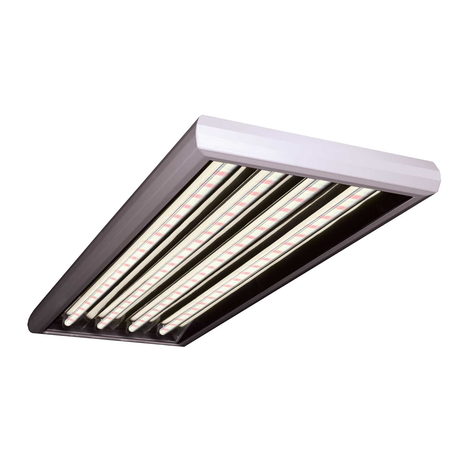 GrowBright 4-Foot- 4-Lamp T5 Grow Light featuring four Agromax Bloom LED T5 Bulbs