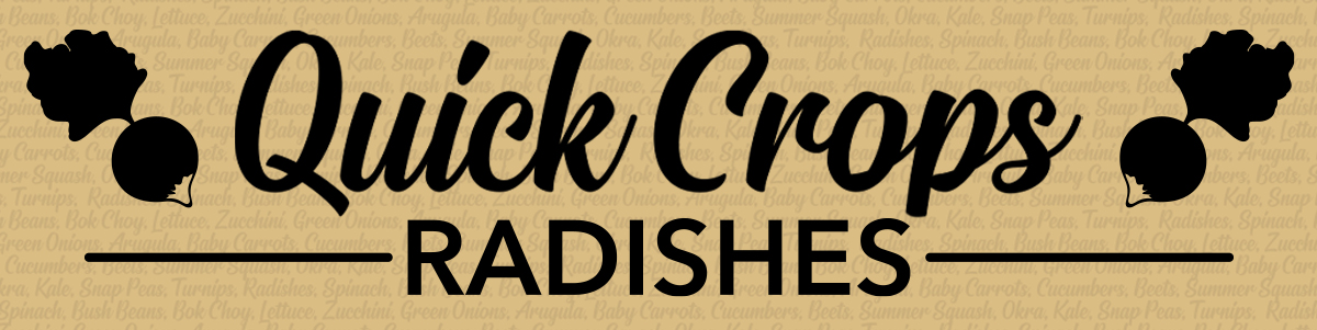 Radishes Header
