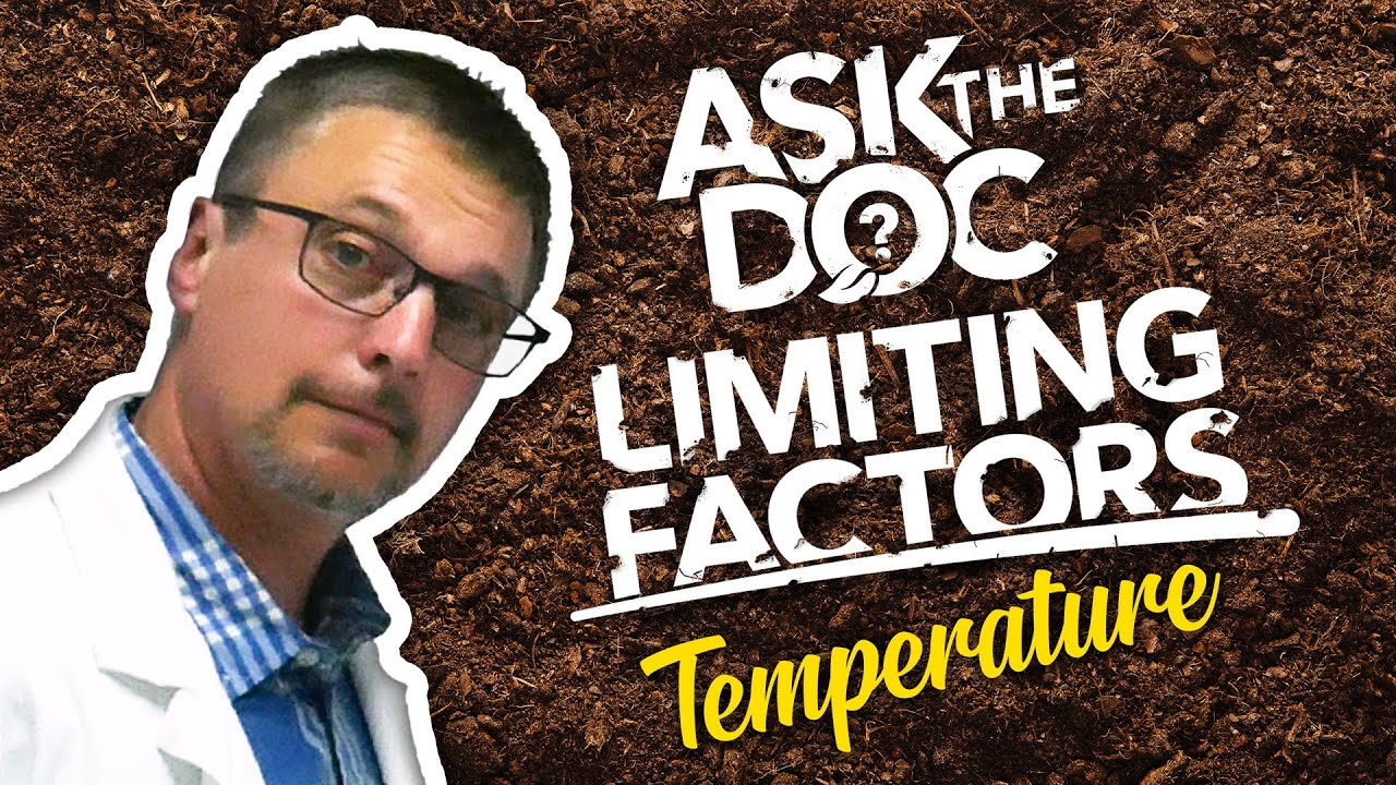 How Does Temperature Affect Plant Growth