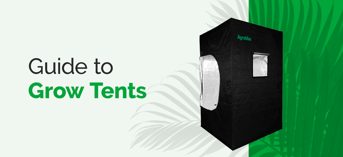 Guide To Grow Tents