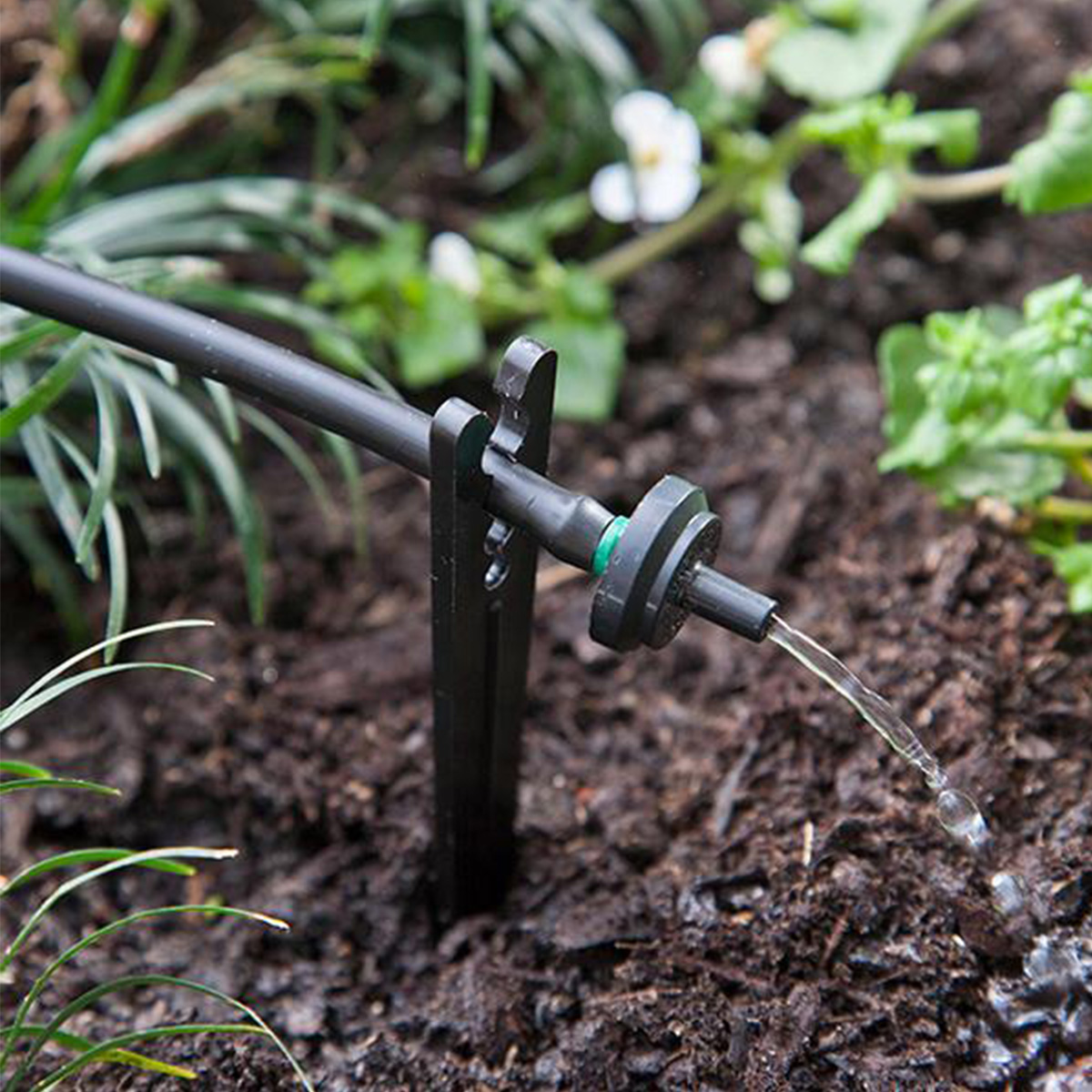 Raindrip PC Dripper 2 GPH In Use
