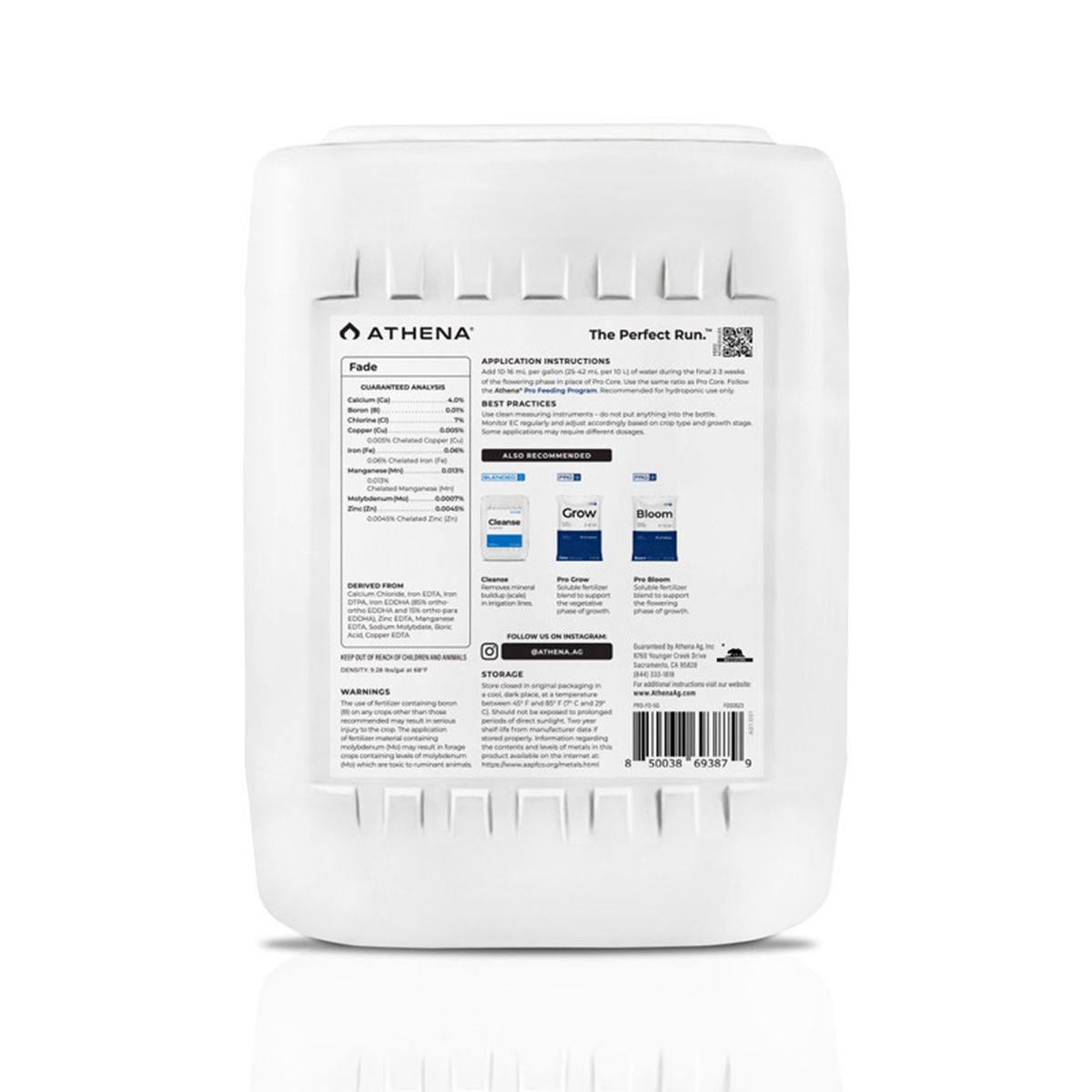 Athena Fade 5 Gallon Back