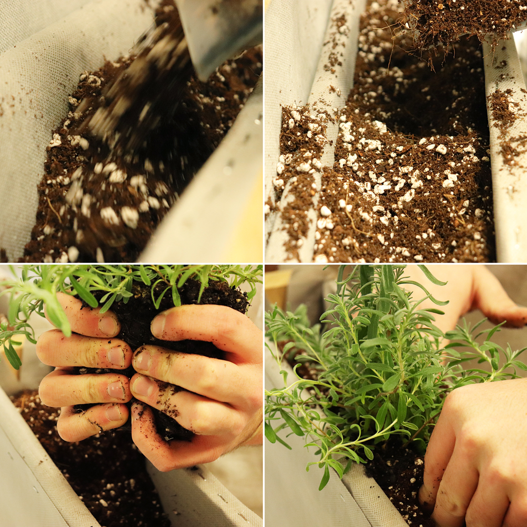 DIY Pallet Garden - Plants to Grow