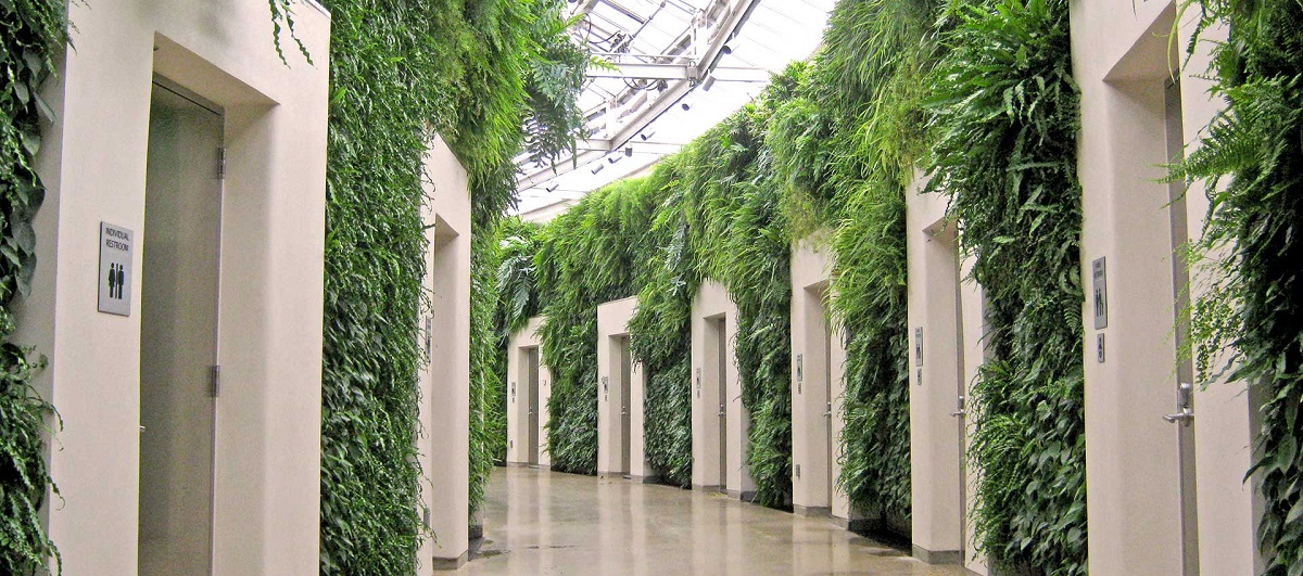 Green Wall Inside of a Building