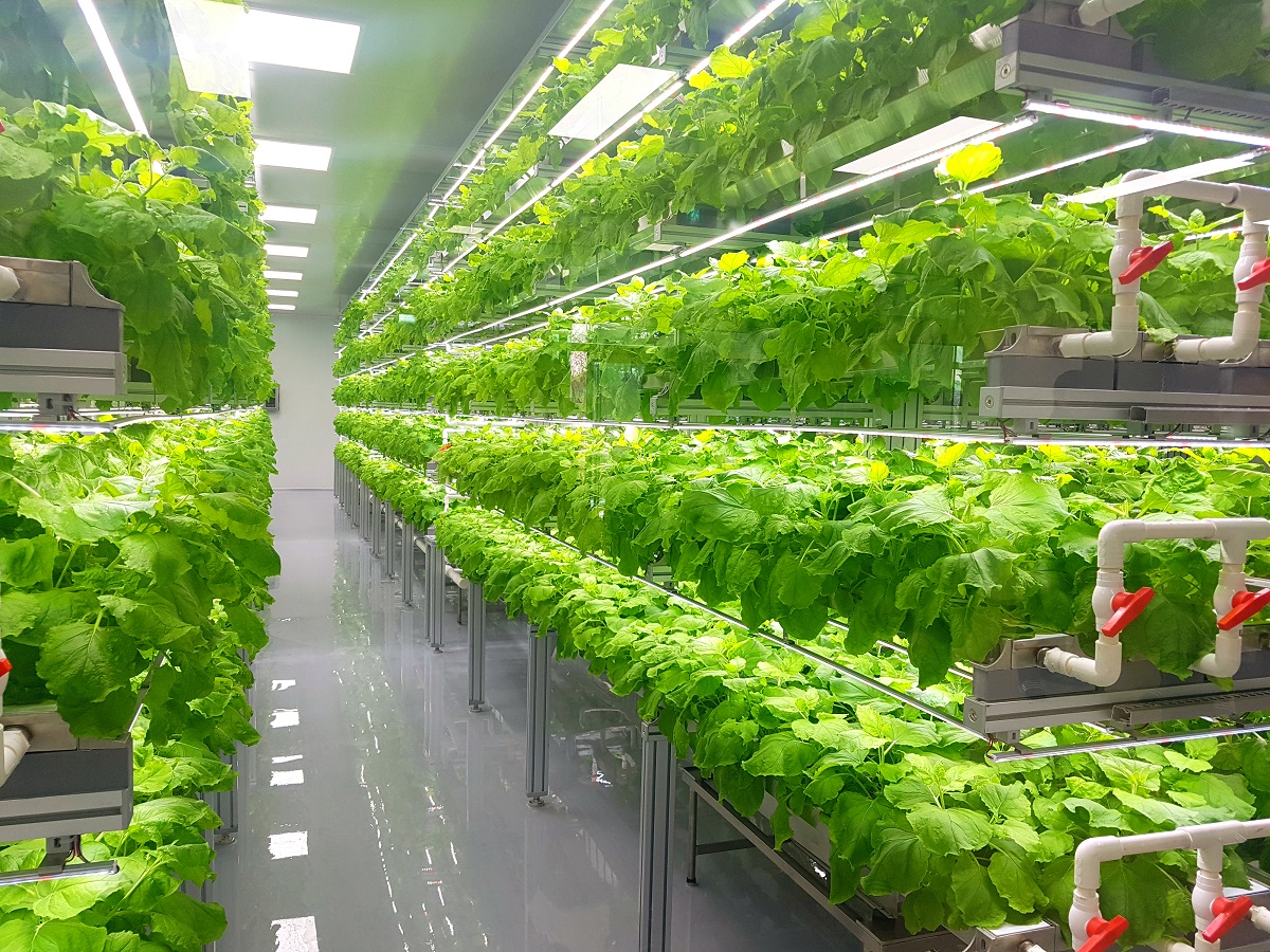 Vertical Farming NFT Systems