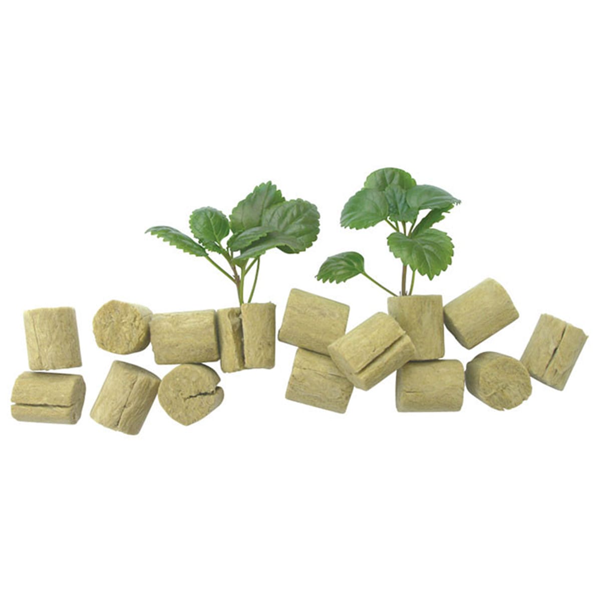 Grodan Macro Plugs 2000-pack In Use