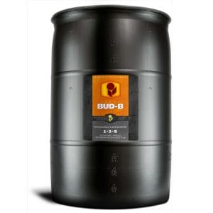 Heavy 16 Bud B - 55 Gallon