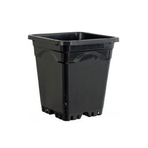 Active Aqua 12 x 12 Inch Square Black Pot