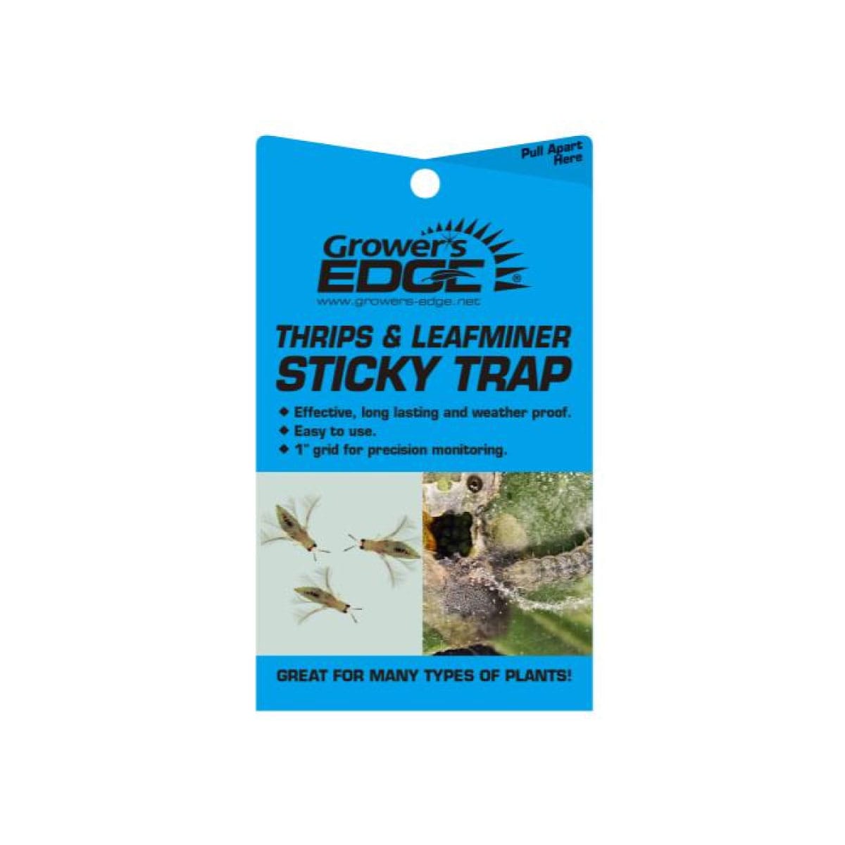 Grower's Edge Thrip & Leafminer Sticky Traps - 5 Pack