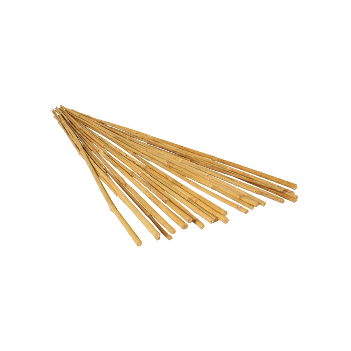 GROW!T 6' Natural Bamboo Stakes - 25-Pack
