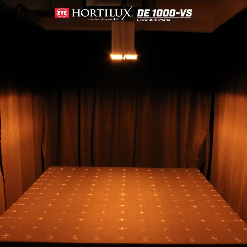 Hortilux DE 1000-VS 1000w Double Ended Grow Light