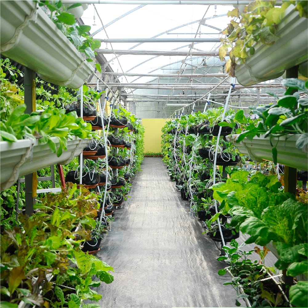 HTG B2B Commercial Cultivation Supplies