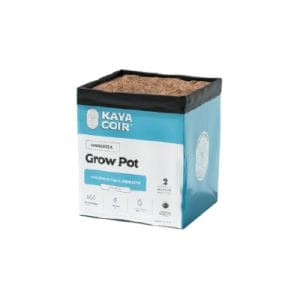 Kaya Coco Perlite 70/30 Case - 2 Gallons